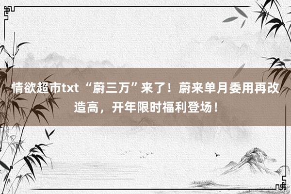 情欲超市txt “蔚三万”来了！蔚来单月委用再改造高，开年限时福利登场！