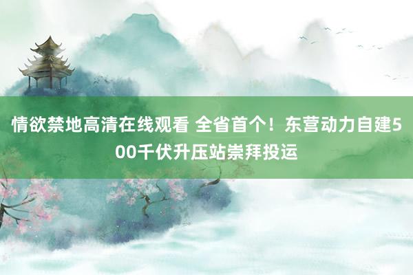 情欲禁地高清在线观看 全省首个！东营动力自建500千伏升压站崇拜投运