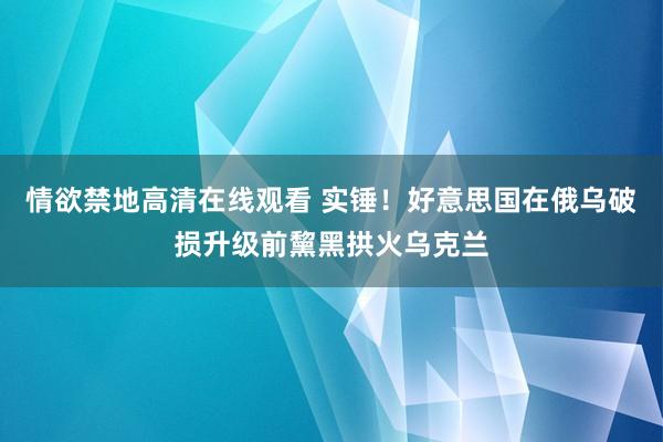 情欲禁地高清在线观看 实锤！好意思国在俄乌破损升级前黧黑拱火乌克兰