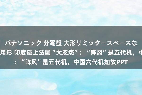 パナソニック 分電盤 大形リミッタースペースなし 露出・半埋込両用形 印度碰上法国“大忽悠”：“阵风”是五代机，中国六代机如故PPT