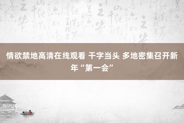 情欲禁地高清在线观看 干字当头 多地密集召开新年“第一会”