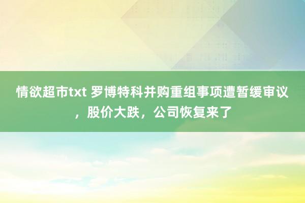 情欲超市txt 罗博特科并购重组事项遭暂缓审议，股价大跌，公司恢复来了