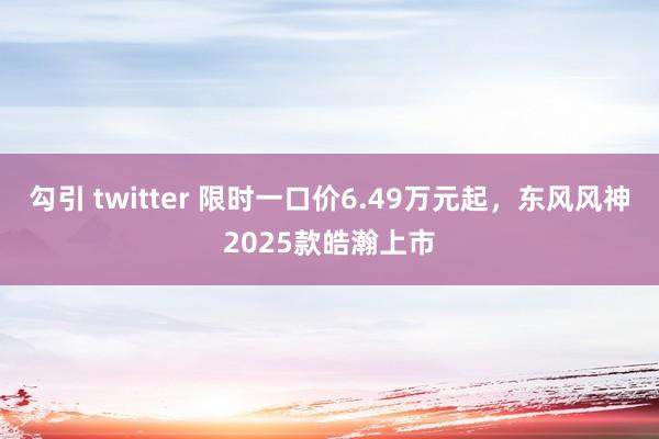 勾引 twitter 限时一口价6.49万元起，东风风神2025款皓瀚上市