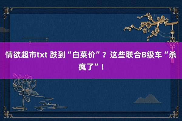 情欲超市txt 跌到“白菜价”？这些联合B级车“杀疯了”！