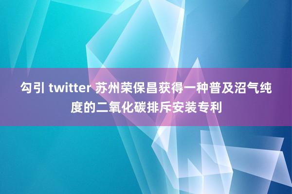 勾引 twitter 苏州荣保昌获得一种普及沼气纯度的二氧化碳排斥安装专利