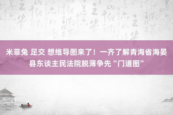 米菲兔 足交 想维导图来了！一齐了解青海省海晏县东谈主民法院脱薄争先“门道图”