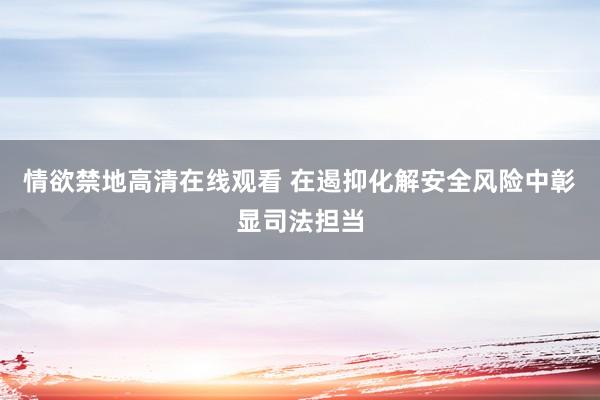 情欲禁地高清在线观看 在遏抑化解安全风险中彰显司法担当