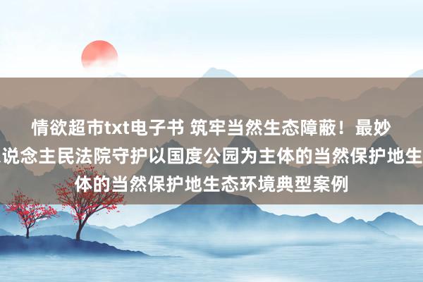 情欲超市txt电子书 筑牢当然生态障蔽！最妙手民法院发布东说念主民法院守护以国度公园为主体的当然保护地生态环境典型案例