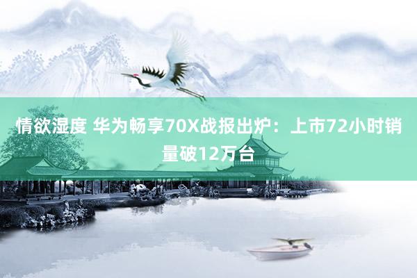 情欲湿度 华为畅享70X战报出炉：上市72小时销量破12万台