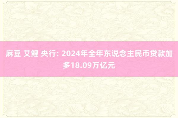 麻豆 艾鲤 央行: 2024年全年东说念主民币贷款加多18.09万亿元