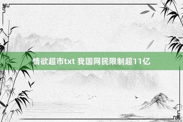 情欲超市txt 我国网民限制超11亿