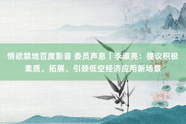 情欲禁地百度影音 委员声息｜李淑亮：提议积极素质、拓展、引颈低空经济应用新场景